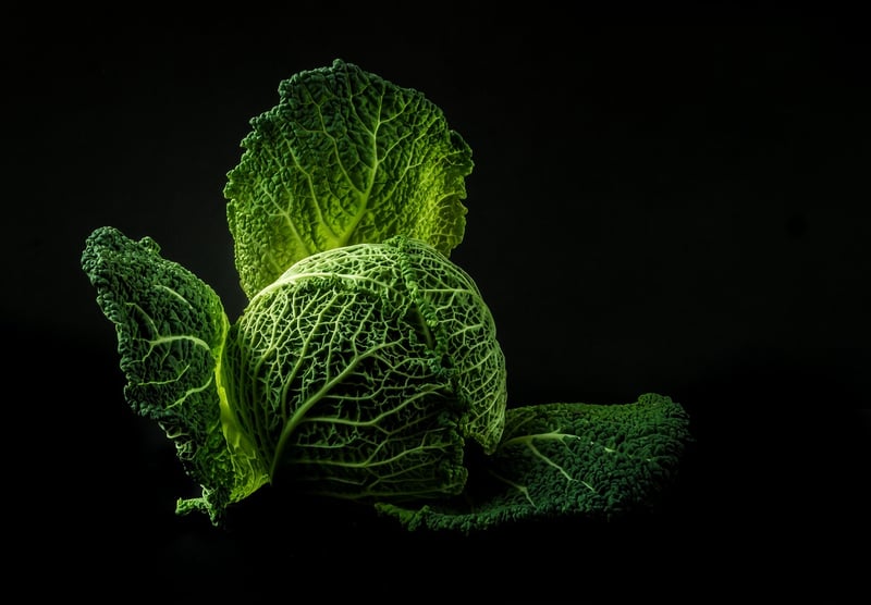 Sustainable Living
